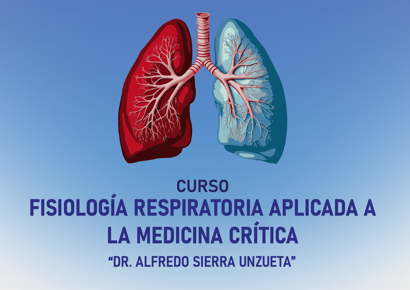 Fisiología Respiratoria